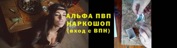 spice Каменногорск