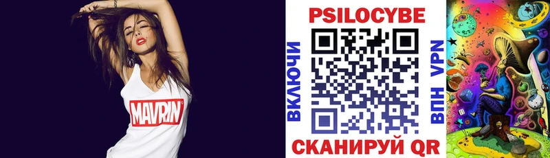 Купить закладки  Дудинка  Галлюциногенные грибы Psilocybe 
